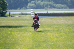20230617-110303-DSC_6645