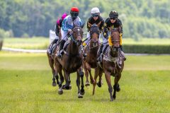 20240615-124631-stromsholm-20240615-lop-3