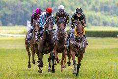 20240615-124631-stromsholm-20240615-lop-4