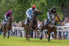 20240615-124633-stromsholm-20240615-lop-11
