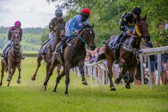 20240615-124633-stromsholm-20240615-lop-9
