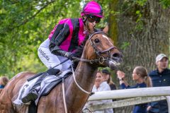 20240615-124634-stromsholm-20240615-lop-13