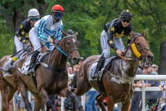 20240615-124634-stromsholm-20240615-lop-14