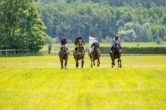 20240615-124741-stromsholm-20240615-lop-20