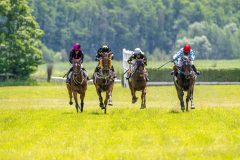20240615-124742-stromsholm-20240615-lop-21