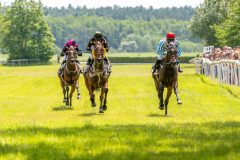 20240615-124746-stromsholm-20240615-lop-25