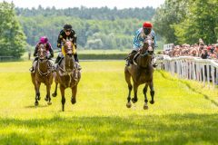 20240615-124746-stromsholm-20240615-lop-26
