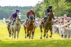 20240615-131134-stromsholm-20240615-lop-57