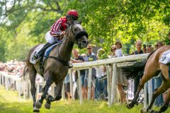 20240615-131135-stromsholm-20240615-lop-62