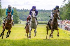 20240615-131258-stromsholm-20240615-lop-76