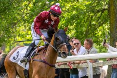 20240615-131300-stromsholm-20240615-lop-83