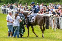 20240615-131549-stromsholm-20240615-lop-110