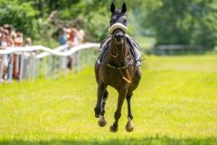 20240615-134653-stromsholm-20240615-lop-136