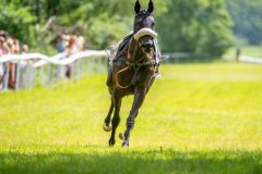 20240615-134653-stromsholm-20240615-lop-137