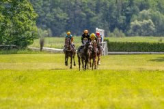 20240615-134828-stromsholm-20240615-lop-154