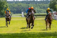 20240615-134956-stromsholm-20240615-lop-167