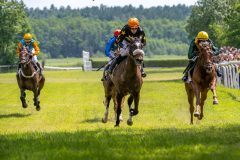 20240615-134956-stromsholm-20240615-lop-168