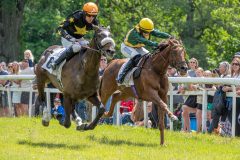 20240615-134958-stromsholm-20240615-lop-176
