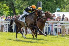 20240615-134959-stromsholm-20240615-lop-180