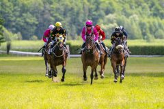 20240615-141219-stromsholm-20240615-lop-206