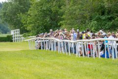 20240615-113003-stromsholm-20240615-ponny-1