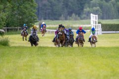 20240615-113016-stromsholm-20240615-ponny-3