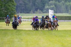 20240615-113017-stromsholm-20240615-ponny-4