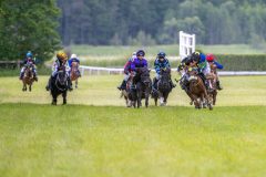 20240615-113017-stromsholm-20240615-ponny-5
