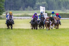 20240615-113018-stromsholm-20240615-ponny-6