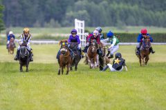 20240615-113020-stromsholm-20240615-ponny-8