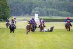 20240615-113021-stromsholm-20240615-ponny-9