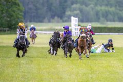 20240615-113022-stromsholm-20240615-ponny-10