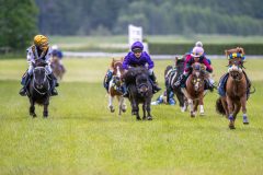 20240615-113024-stromsholm-20240615-ponny-12
