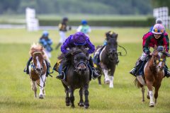 20240615-113026-stromsholm-20240615-ponny-15