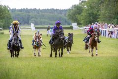 20240615-113027-stromsholm-20240615-ponny-16