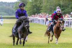 20240615-113028-stromsholm-20240615-ponny-18