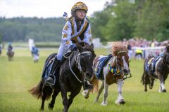20240615-113029-stromsholm-20240615-ponny-20