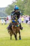 20240615-113039-stromsholm-20240615-ponny-25