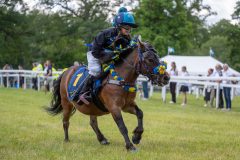 20240615-113040-stromsholm-20240615-ponny-27