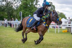 20240615-113040-stromsholm-20240615-ponny-28