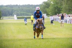 20240615-113041-stromsholm-20240615-ponny-29