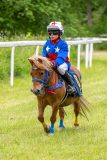 20240615-113117-stromsholm-20240615-ponny-33
