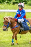 20240615-113123-stromsholm-20240615-ponny-34
