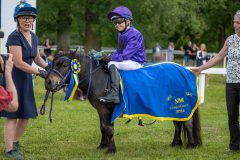 20240615-113425-stromsholm-20240615-ponny-40