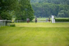 20240615-114633-stromsholm-20240615-ponny-42