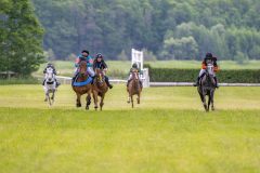20240615-114643-stromsholm-20240615-ponny-44