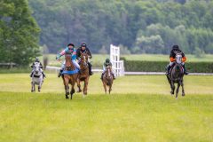 20240615-114644-stromsholm-20240615-ponny-45