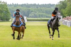 20240615-114649-stromsholm-20240615-ponny-50