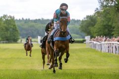20240615-114650-stromsholm-20240615-ponny-52