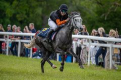 20240615-114651-stromsholm-20240615-ponny-55